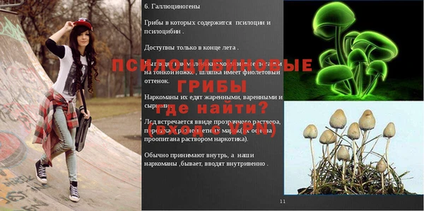 крисы Алексеевка