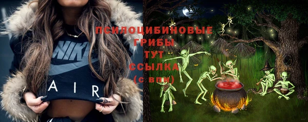 винт Алзамай