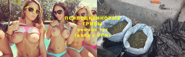 крисы Алексеевка